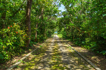 宮古島・牧山展望台の道