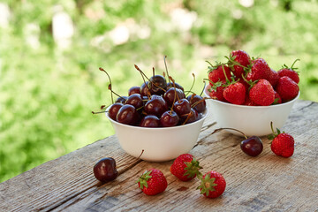 two white bowls with ripe red strawberry, cherries on a green background of foliage.