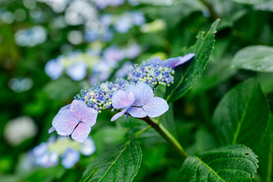 資福寺 Images Browse 1 Stock Photos Vectors And Video Adobe Stock 資福寺 Images Browse 1 Stock Photos Vectors And Video Adobe Stock