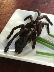 Gourmet tarantula