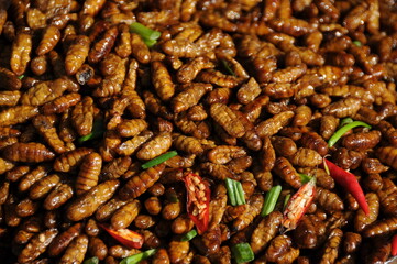 close up of bugs with chili