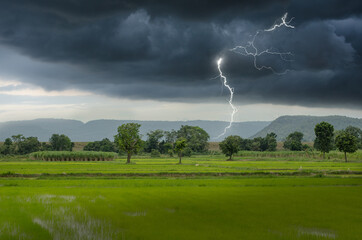 Strong lightning in black clouds over green field - Powered by Adobe