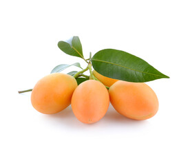 Marian plum, Plum mango, Maprang Fruit isolated on white background. Fruit of Thailand