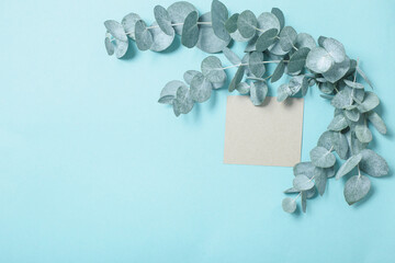 eucalyptus leaves and craft card  on blue paper background