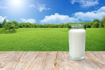 glass of milk on the wood table