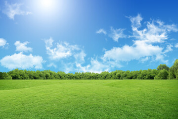 green grass and blue sky