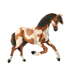 cheval, isolé, animal, gris , mammifère, étalon, brun, ferme, debout, fond blanc, crin, noir, poney, chevalin, andalou, galop, personne, bétail, amoureux des chevaux, nature, poulain, courir, jeune