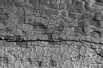 Texture of wood burned in fire.