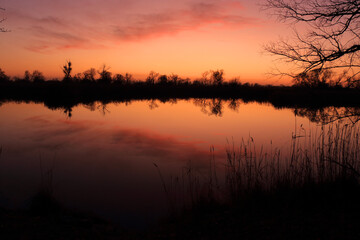 Obraz premium Colorful sunset by the Odra River, Poland.