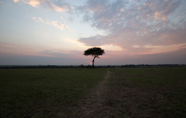 Sunset in Africa. Kenya. 