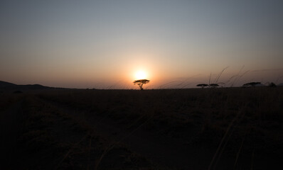 Fototapeta na wymiar A sunset in Kenya from a low angle.