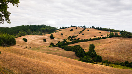 Obraz premium View of a green field on a cloudy day in southern Chile. Green mountains in the background