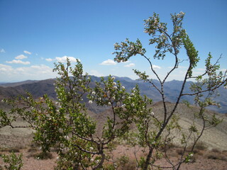 View on the landscape in Death Valley, California