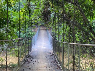 Fototapeta premium Street of wire in the Angkor park