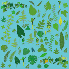 グリーン, カット集グリーン, 新緑, 草, 植物, オシャレ, つた, 手描き, 二葉, みどり, 茎, 葉っぱ, 雑草, 緑, エレガント, 飾り線, 手書き, おちば, 枠, 背景, フレーム, ナチュラル, くるくる, エレガンツ, お洒落, leaf, green, スケッチ, デザイン, リーフ, 観葉植物, ハーブ, 自然, 落ち葉, 天然, アイコン, ワンポイント, セット, カ