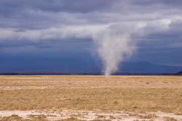 Dust tornado on the plain of savannah with dramatic dark sky and heavy clouds in Amboseli National Park