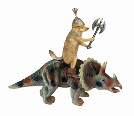 The beige dog knight in boots and a helmet with a double headed battle axe is riding a war triceratops. White background. Isolated.