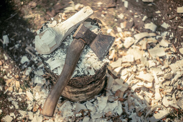 Wood processing with an axe in a clearing, around wood shavings