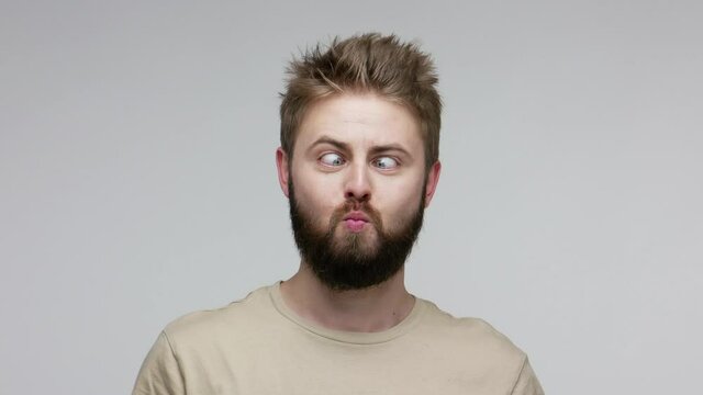 Optimistic funny bearded guy looking at camera cross eyed, showing tongue out, making stupid dumb face and aping, fooling around with brainless grimace. indoor studio shot isolated on gray background