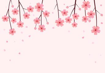 Pink cherry blossom branch on pastel peach color background vector.