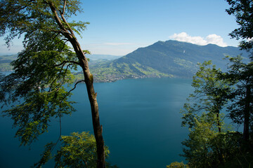 Fototapeta na wymiar Blick vom Bürgenstock auf den Vierwaldstätter See in der Schweiz