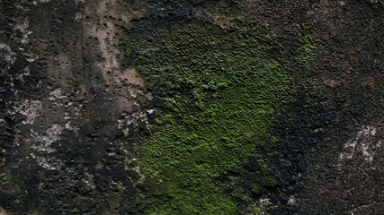 Concrete wall cement of light grey color, cement texture background.