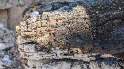 A large log smouldering in an outdoor firepit