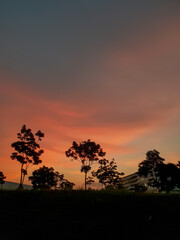 sunset in the forest
