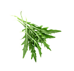 Fresh arugula on white background