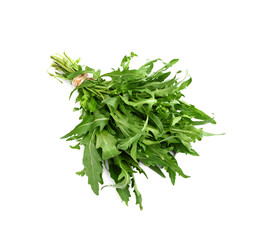 Fresh arugula on white background