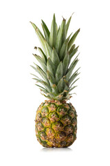 Fototapeta premium Pineapple Isolated on White Background