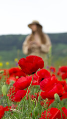 Girl in poppies field. Spring