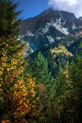 Beautiful autumn mountain landscape with bright trees and sunny slopes