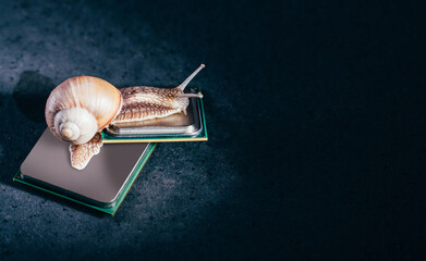 Snail on two processors on a dark background. Old slow processors. Outdated components. Place under...