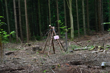 Grundloses Moor, Walsrode, Niedersachsen