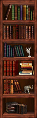 Naklejka premium Bookcase, bookshelf 