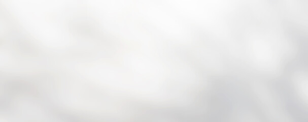 Obraz premium Abstrakcyjne cienie, rozmyte tło szarych liści i naturalnych drzew odbijających betonowe ściany, opadłe gałęzie na białych powierzchniach ścian, rozmyte tło i czarno-białe tapety.