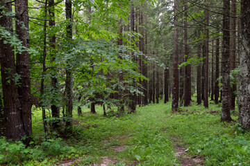 Ötscher Tormäuer nature park