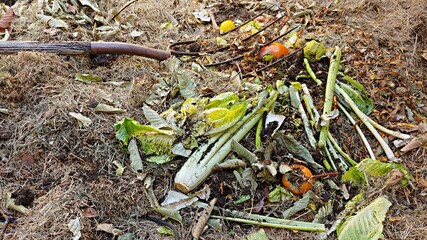 Biodegradable kitchen waste of fruits, and vegetables along with yard waste of grass and leaves make up this great organic compost pile. An old Pitchfork is also laying amongst the decomposing debris.