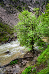 Ötscher Tormäuer nature park