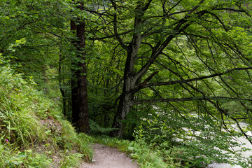 Ötscher Tormäuer nature park