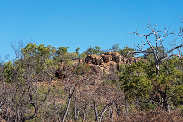 Volcanic Rock In Australian National Park