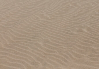 Sand beach. Fine sand texture with waves. Background for inscription.