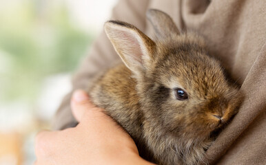 the girl with the rabbit. holding cute fluffy Bunny.Friendship with Easter Bunny. Spring photo.Close up