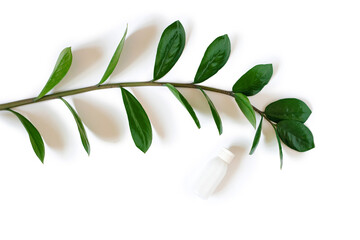 The concept of organic cosmetics. Green cosmetics, face or body care products. A bottle of white cream surrounded by a branch of zamiokulkas with green leaves on a white background, top view.