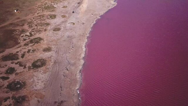 Scenic colorful Pink Salt Lake in Ukraine. unusual color cause of an algae with red pigments.  Amazing seascape. Drone video