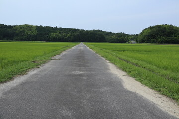 まっすぐに道が続く