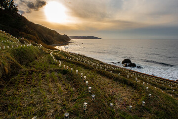 Shiroyone Senmaida Rice Terraces with sea view and sunset on Noto Peninsula, Japan