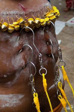 Devotee Pierced Hooks On The Back During The Thaipusam Festival At Serangoon Singapore