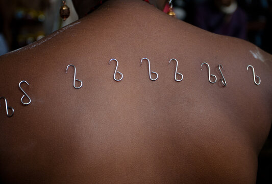 Devotee Pierced Hooks On The Back During The Thaipusam Festival At Serangoon Singapore